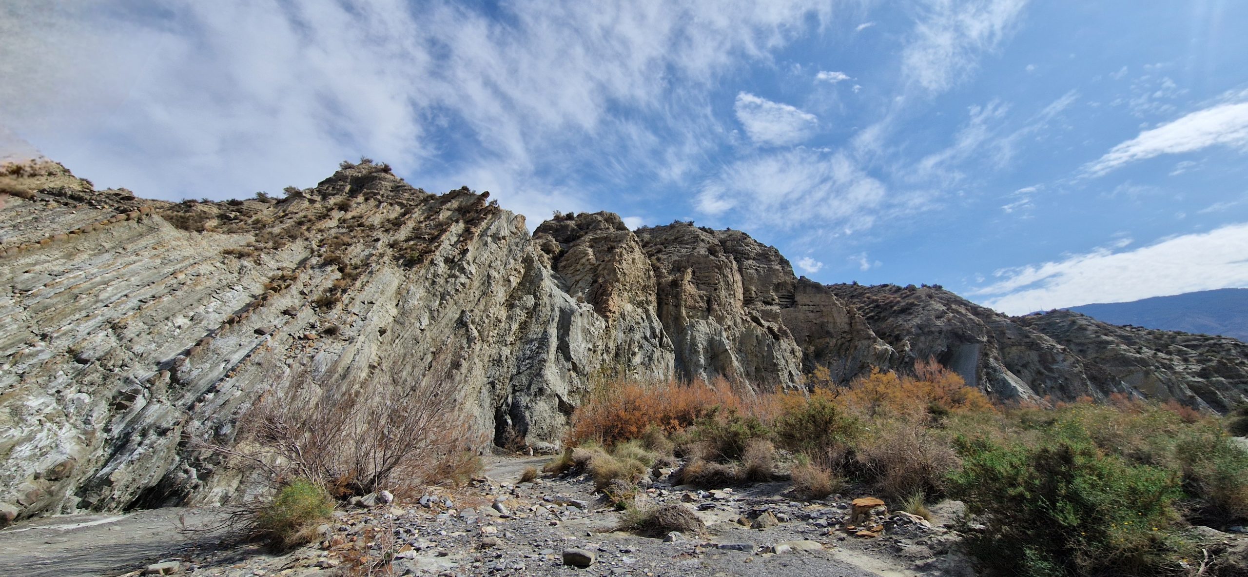 tabernas1