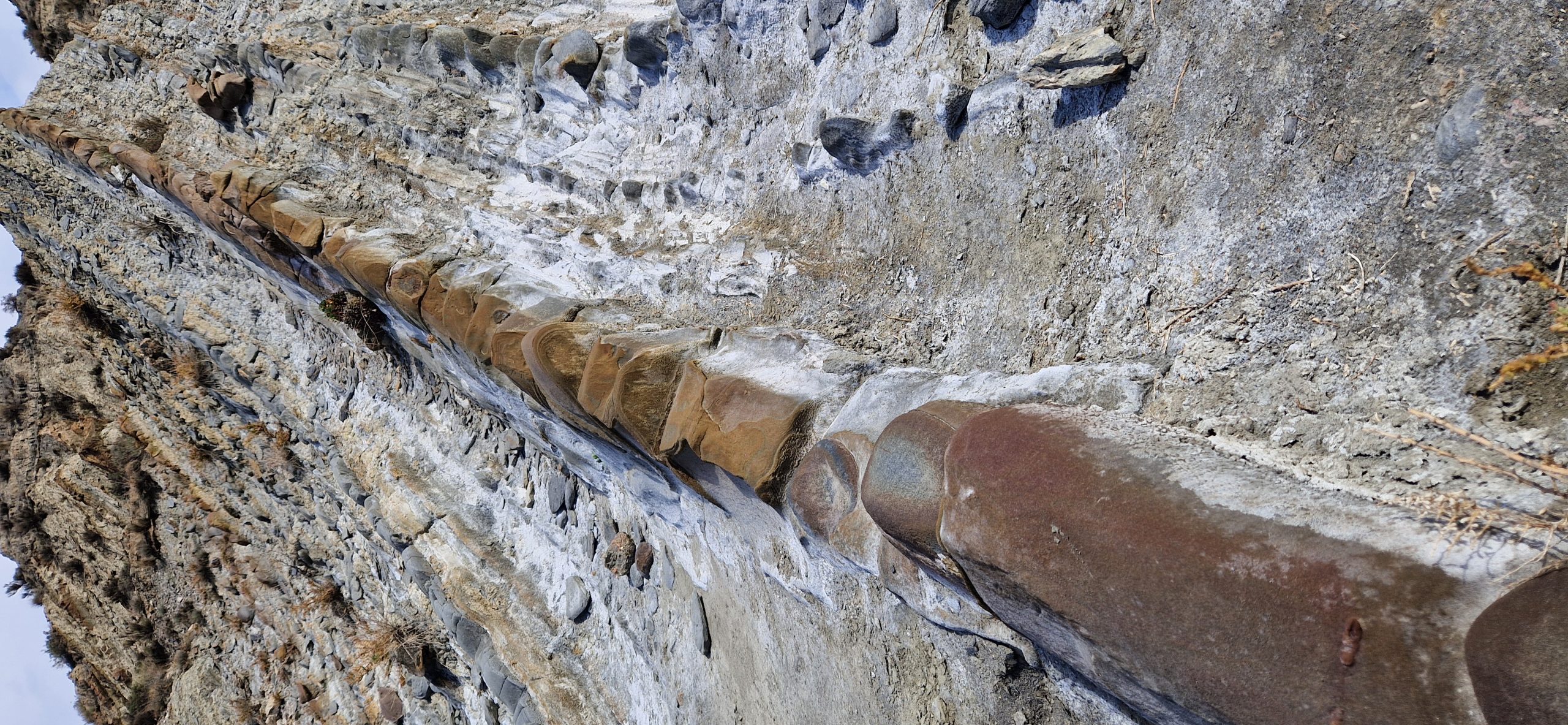 tabernas2